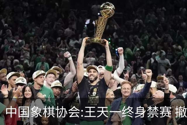中国象棋协会:王天一终身禁赛 撤销特大等称号